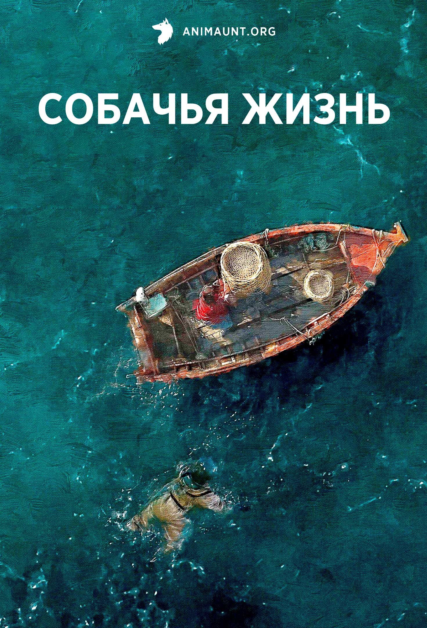 Собачья жизнь