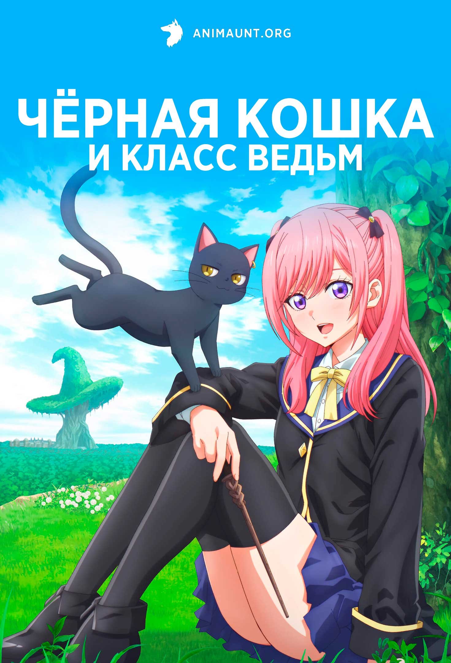 Чёрная кошка и класс ведьм