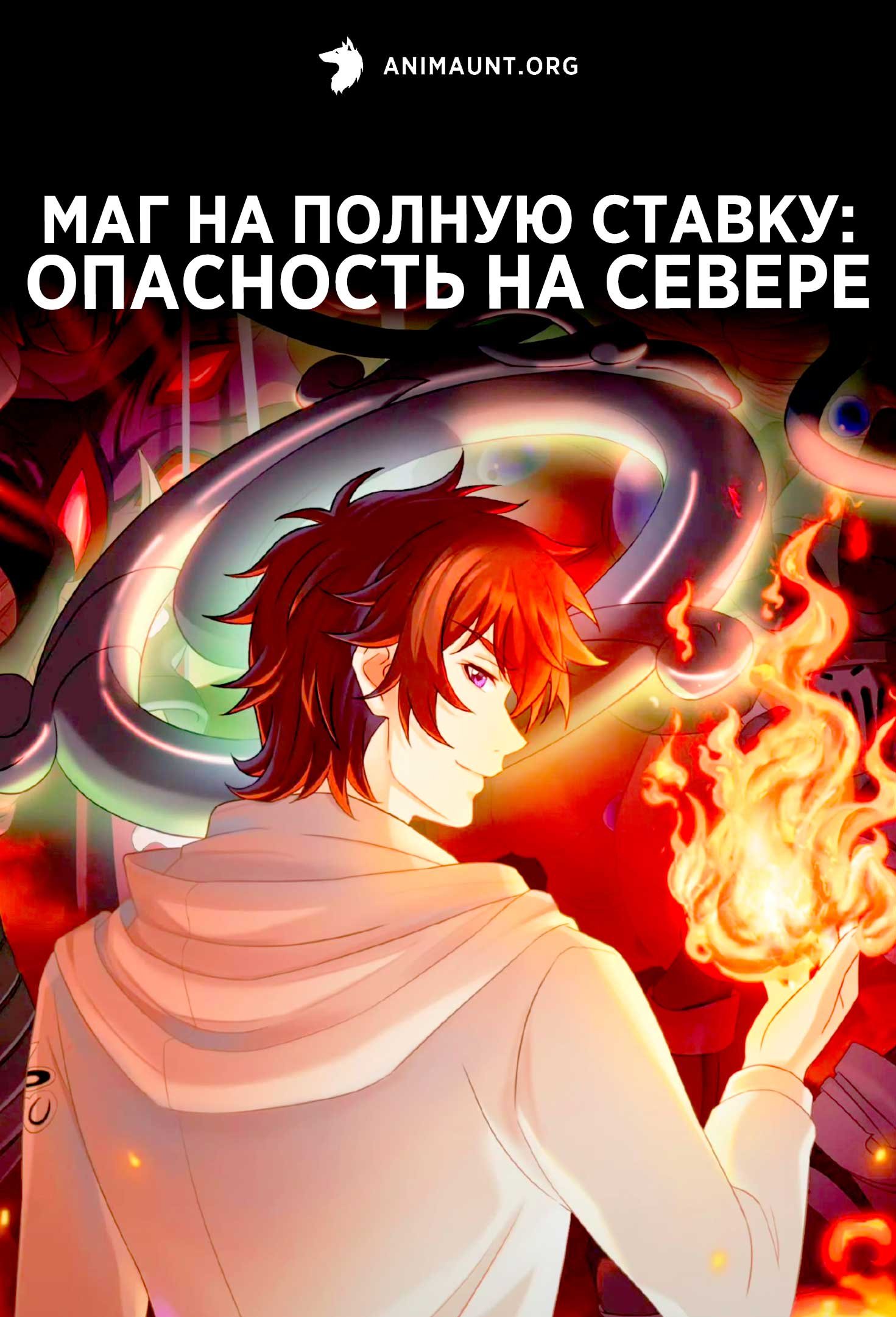 Маг на полную ставку: Опасность на севере